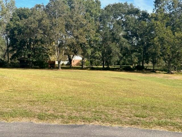 12553 BELL CREEK DR N, GRAND BAY, AL 36541, photo 1 of 4