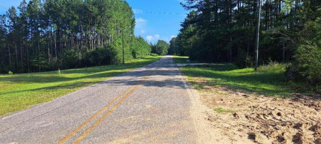 0000 OLD CITRONELLE HIGHWAY, CHUNCHULA, AL 36521 - Image 1