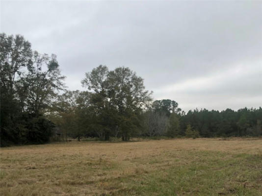 9500 SCOTT DAIRY LOOP RD S, MOBILE, AL 36695 - Image 1