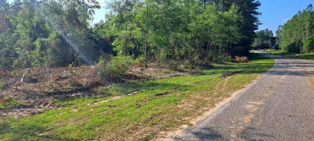 0000 OLD CITRONELLE HIGHWAY, CHUNCHULA, AL 36521, photo 3 of 14