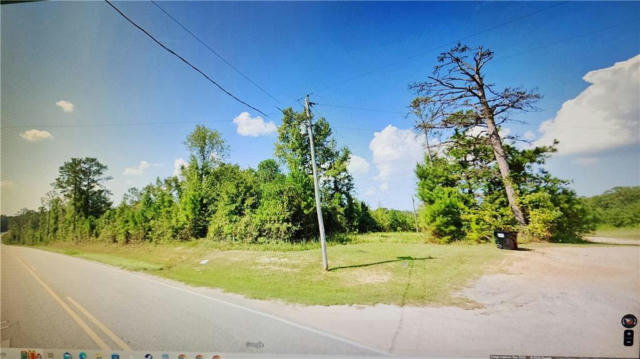 0 COUNTY ROAD 47, PINE APPLE, AL 36768 - Image 1