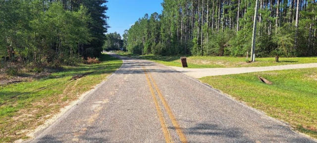 0000 OLD CITRONELLE HIGHWAY, CHUNCHULA, AL 36521, photo 2 of 14