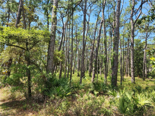 510 FORT TOMBECBE PL, DAUPHIN ISLAND, AL 36528, photo 3 of 13