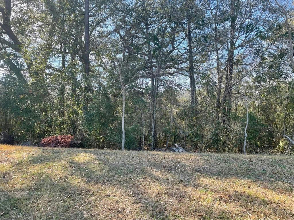 0 WINDY LEAF DRIVE, GRAND BAY, AL 36541, photo 1